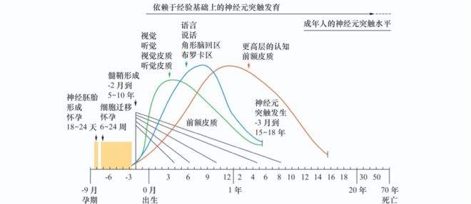 早期发展的关键在阅读？这里有答案！新葡京博彩世界读书日特辑｜为什么说(图4)