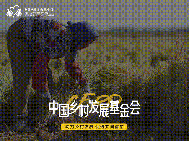 早期发展的关键在阅读？这里有答案！新葡京博彩世界读书日特辑｜为什么说(图6)